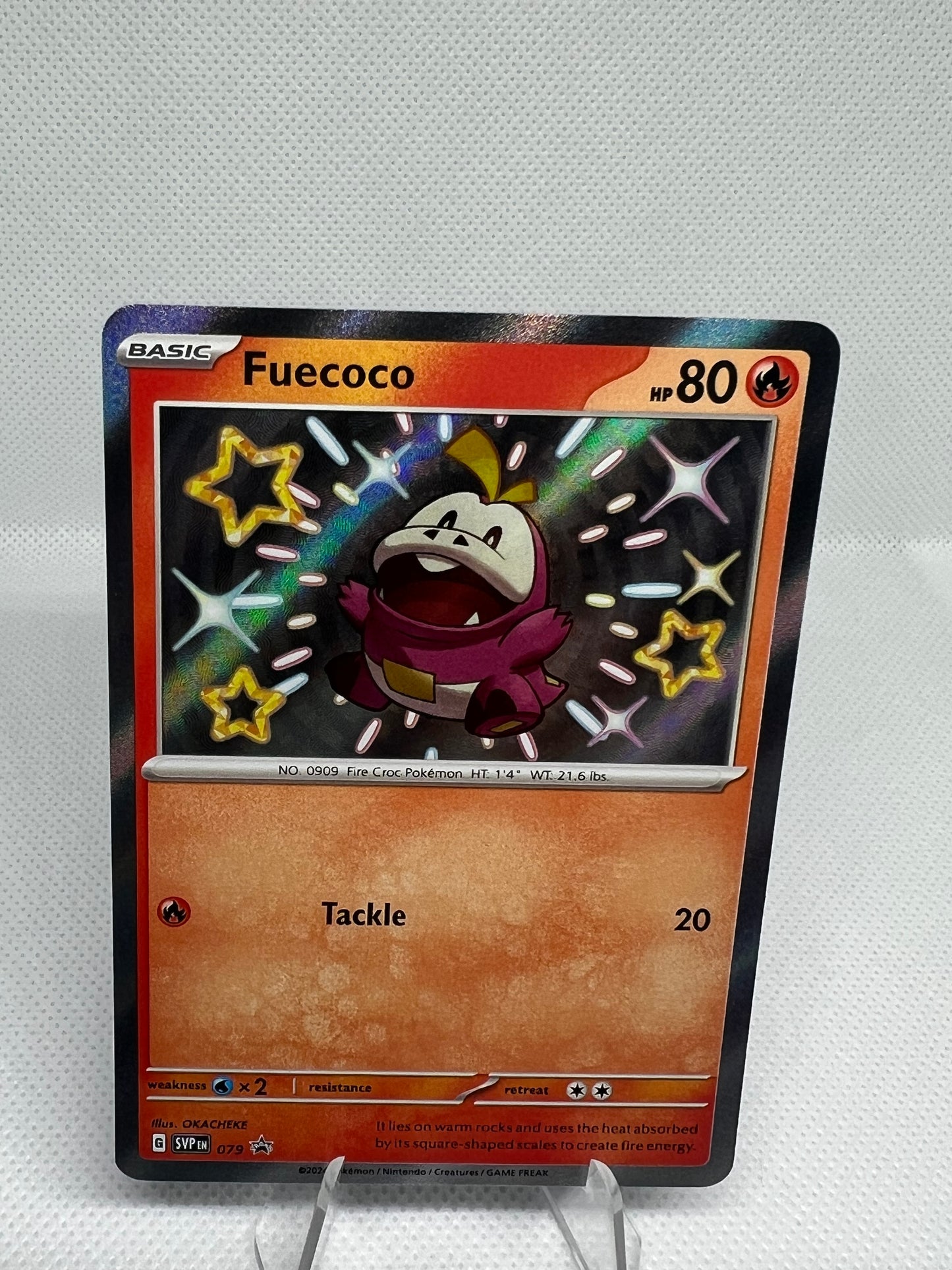 Fuecoco SVP 079 Black Star Promo Holo NM+ BONUS CARD!