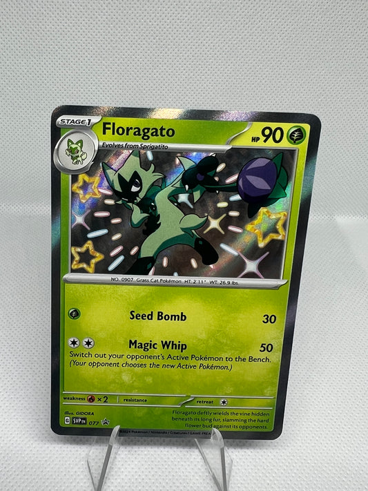 Floragato 077 Black Star Promo Paldean Fates Baby Shiny Pokemon TCG